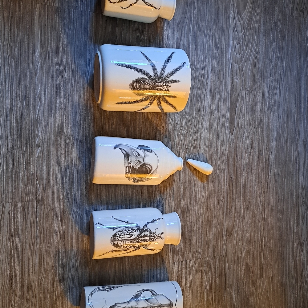 Laura zindel vases